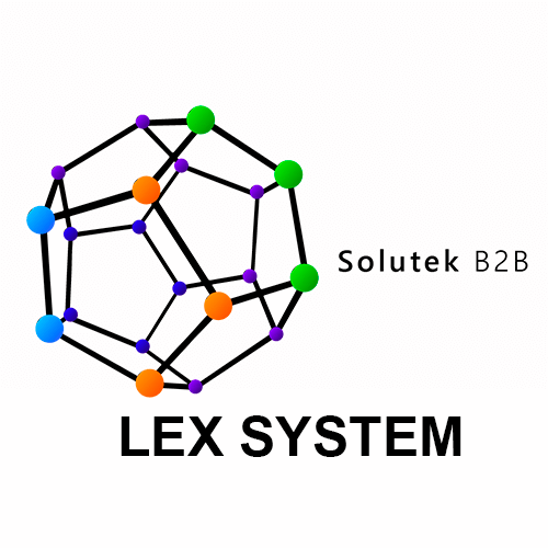 mantenimiento correctivo de monitores Lex System