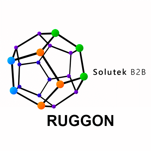 mantenimiento correctivo de monitores Ruggon