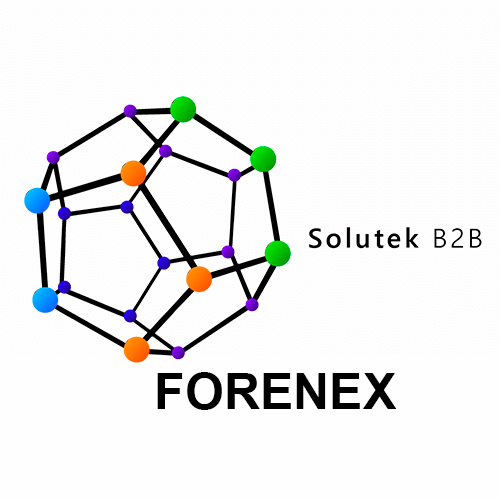 mantenimiento preventivo de monitores Forenex