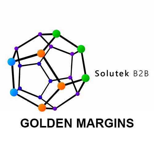 mantenimiento preventivo de monitores Golden Margins